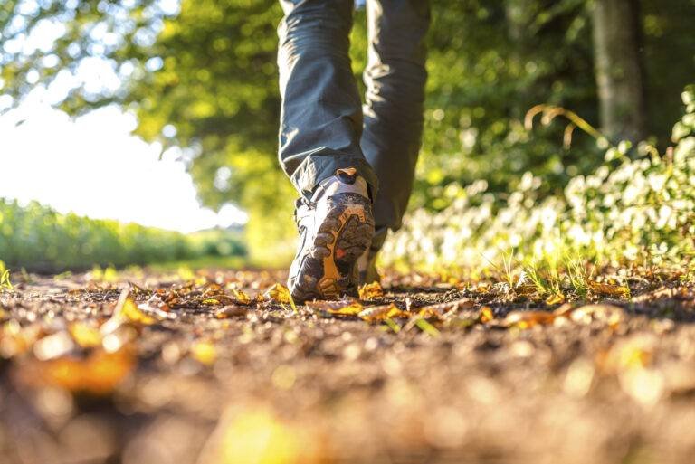 walking feet in a forrest